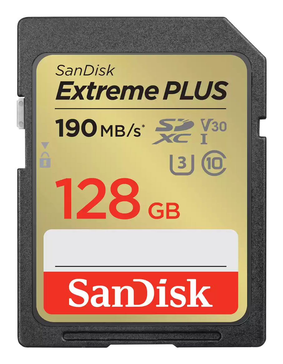 SanDisk SDSDXW2-128G-GNCIN