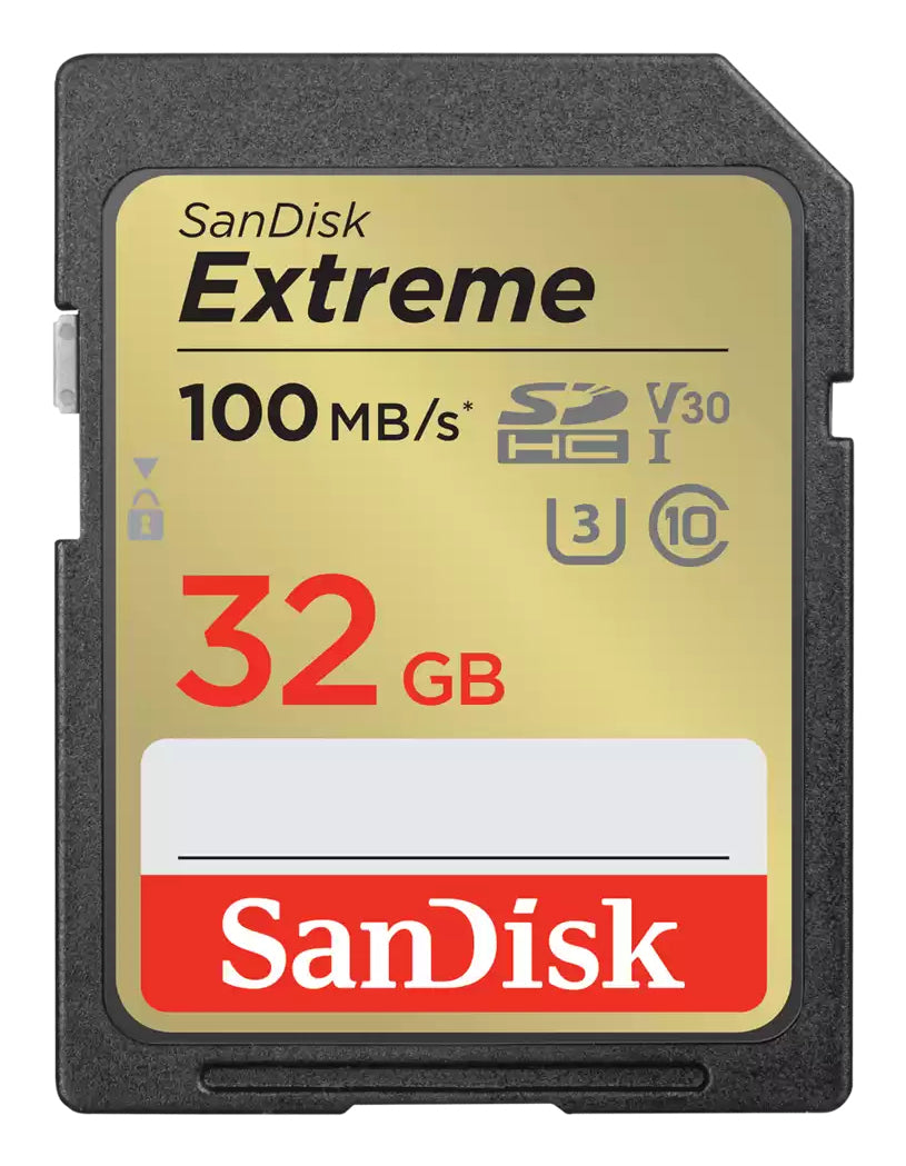 SanDisk SDSDXVT-032G-GNCI2