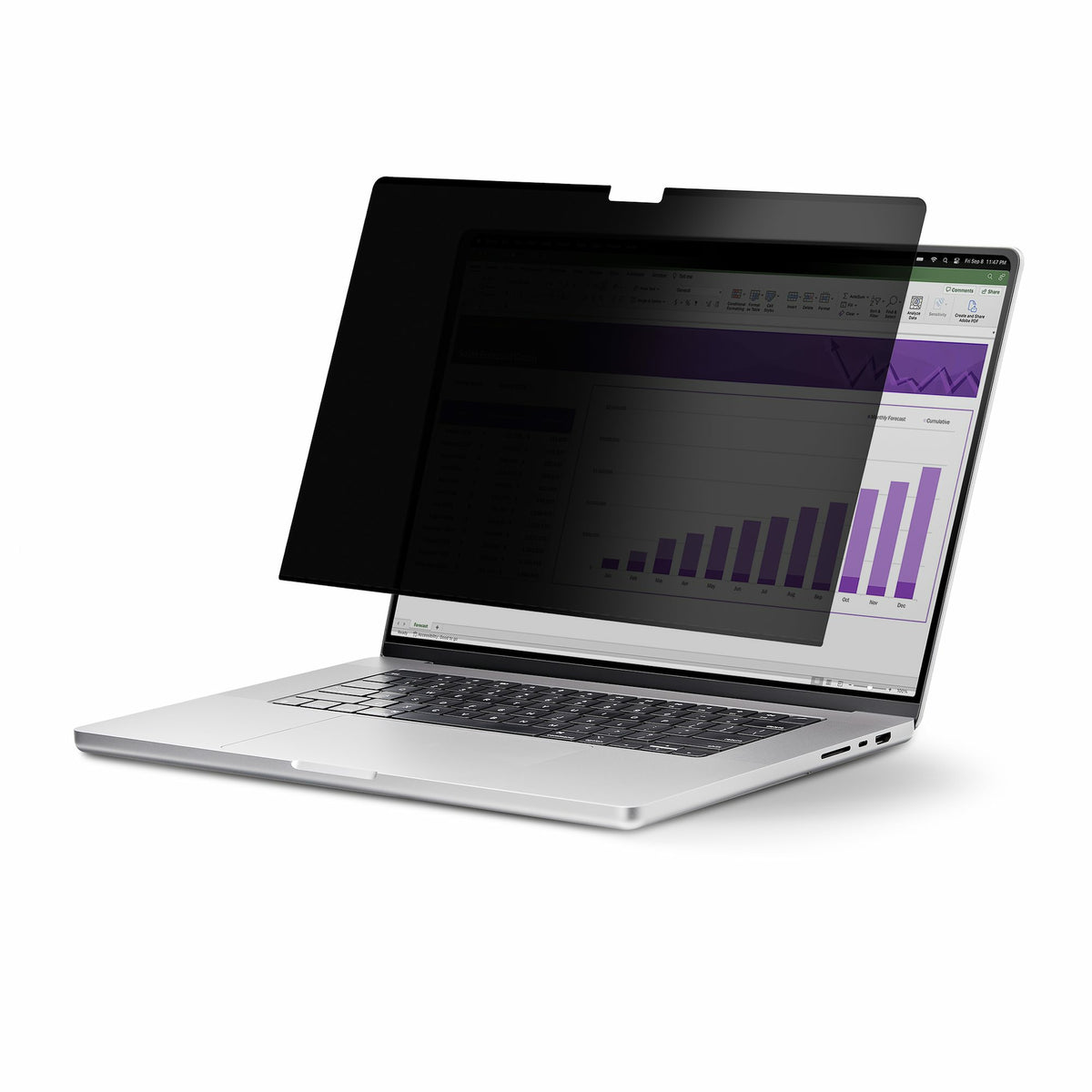 StarTech.com 141T6-PRIVACY-SCREEN