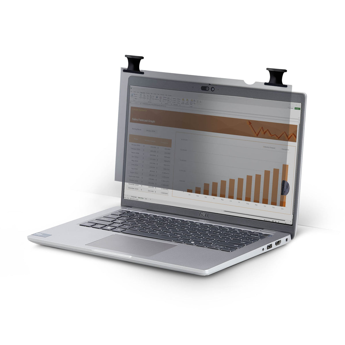StarTech.com 156B6-PRIVACY-SCREEN