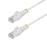 StarTech.com N6PAT10MWHS